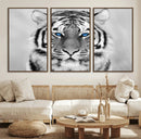 Black and White Tiger Wall Art Animal Canvas Print