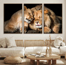 Lion and Lioness Wall Art Canvas Print – Framed African