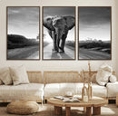 Black and White Elephant Wall Art Canvas Print