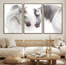 White Horse Wall Art Animal Canvas Print by MyGreatCanvas | Canvas Wall Art Prints | Photo Prints & Wall Decor