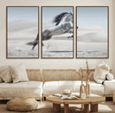 Prancing Horse Desert Large Wall Art Canvas Print – Majestic