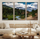 San Juan Nal Forest Wall Art Landscape Canvas Print