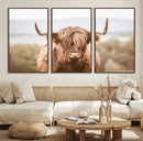 Scottish Serene Highland Cow Canvas Wall Art – Serene