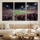 Mississippi State Bulldogs Stadium Wall Art Canvas Print –
