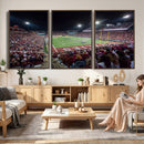 Washington-Grizzly Stadium Canvas Print, American Football