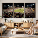Washington-Grizzly Stadium Canvas Wall Art – Exciting Game