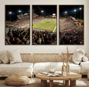 Washington-Grizzly Stadium Canvas Wall Art – Exciting Game by MyGreatCanvas | Canvas Wall Art Prints | Photo Prints & Wall Decor