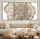 Abstract Wood Tree Ring Wall Art - Ready to Hang Minimalist