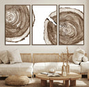 Wood Tree Ring Wall Art Canvas Prints, Tree Rings –