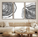Abstract Large Tree Rings – Minimalist Black and White Wood