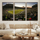 Oregon Stadium Canvas Wall Art - Captivating Game Day Scene