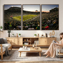 Oregon Stadium Canvas Wall Art - Captivating Game Day Scene