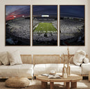 Penn State University Nittany Lions Football Team Print -