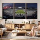 Penn State University Nittany Lions Football Team Print -