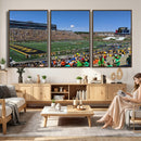 University of Missouri Tigers Football Team Print - Columbia