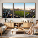 Boca Juniors Soccer Team Print - Buenos Aires Bombonera
