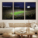 Michigan Wolverines Football Canvas Wall Decor, Football