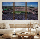 South Carolina Gamecocks Football Team Print - Columbia