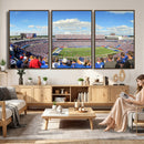 Buffalo Bills NFL Football Team Print - Buffalo Highmark