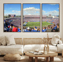 Buffalo Bills NFL Football Team Print - Buffalo Highmark