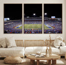 Buffalo Bills Wall Art - Buffalo Bills Stadium Canvas Print,