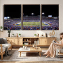 Buffalo Bills Wall Art - Buffalo Bills Stadium Canvas Print,