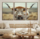 Texas Cow Longhorn Wall Art Canvas Print for Farm House Wall