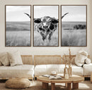 Texas Cow Longhorn Wall Art Canvas Print for Farm House Wall