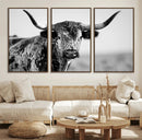 Texas Cow Longhorn Wall Art Canvas Print in Black and White