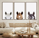 Horse Prints Set, Set of 3 Horse Wall Art, Horses Portraits, by MyGreatCanvas | Canvas Wall Art Prints | Photo Prints & Wall Decor