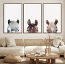 Horse Wall Art - Minimalist Horse Triptych Wall Art – Modern by MyGreatCanvas | Canvas Wall Art Prints | Photo Prints & Wall Decor