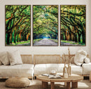 Serene Tree Tunnel Wall Art Canvas Print – Pathway Under by MyGreatCanvas | Canvas Wall Art Prints | Photo Prints & Wall Decor