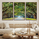 Wormsloe State Plantation Driveway Wall Art Canvas Print by MyGreatCanvas | Canvas Wall Art Prints | Photo Prints & Wall Decor