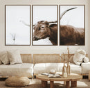 Rustic Bull Wall Art Canvas Print – Modern Longhorn