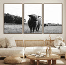 Black and White Highland Cow Wall Art Canvas Print | Rustic by MyGreatCanvas | Canvas Wall Art Prints | Photo Prints & Wall Decor