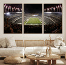Eagles Field Stadium Wall Art - Philadelphia Eagles Football