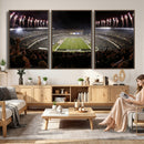 Eagles Field Stadium Wall Art - Philadelphia Eagles Football