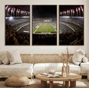 Eagles Field Stadium Wall Art - Philadelphia Eagles Football