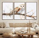 Barn Owl Wall Art on Branch | Stunning Canvas Print for