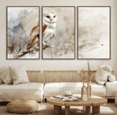 Barn Owl Wall Art | Watercolor Canvas Print | Perfect for