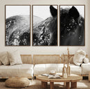 Black Horse in Snow Canvas Print | Winter Horse Wall Art |