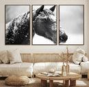Horse Canvas Print - Winter Horse Snow Wall Art Canvas Print by MyGreatCanvas | Canvas Wall Art Prints | Photo Prints & Wall Decor