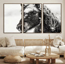 Framed Black and White Horse Wall Art | Ready to Hang and by MyGreatCanvas | Canvas Wall Art Prints | Photo Prints & Wall Decor