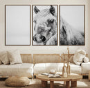 White Horse Wall Art | Ready to Hang and Framed | Winter