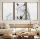 Majestic White Horse Wall Art | Ready to Hang and Framed |