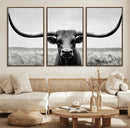Longhorn Bull Canvas Print | Rustic Farmhouse Wall Art | by MyGreatCanvas | Canvas Wall Art Prints | Photo Prints & Wall Decor