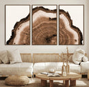 Rustic Wood Rings Wall Art | Nature-Inspired Tree Ring