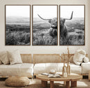 Scottish Highland Cow Wall Art | Black and White Canvas