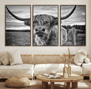 Scottish Highland Cow Wall Art Canvas Print | Ready to Hang by MyGreatCanvas | Canvas Wall Art Prints | Photo Prints & Wall Decor