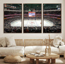 Honda Center California Anaheim Ducks Ice Hockey Stadium